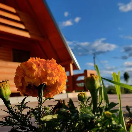 度假居 Brvnara N&n Laktaši