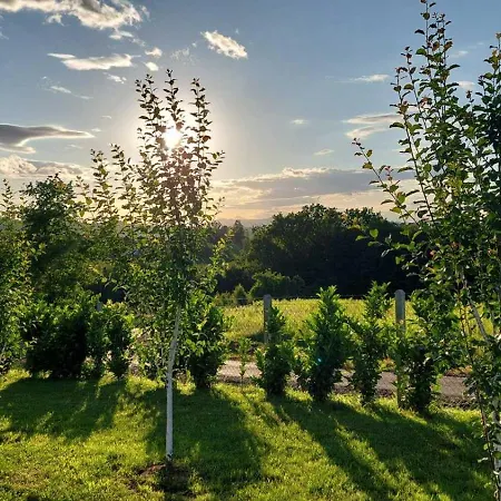 Brvnara N&n 度假居