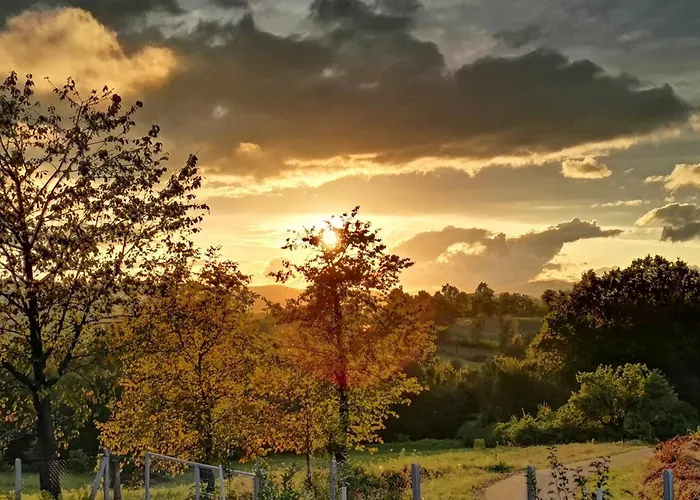 Brvnara N&n 펜션 락타치